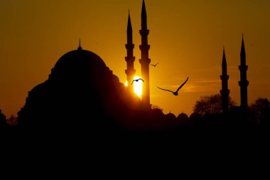 Yeni Cami (Yeni Cami). İstanbul, Türkiye