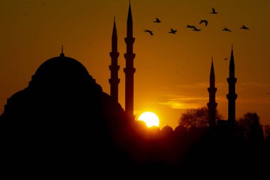 Yeni Cami (Yeni Cami). İstanbul, Türkiye