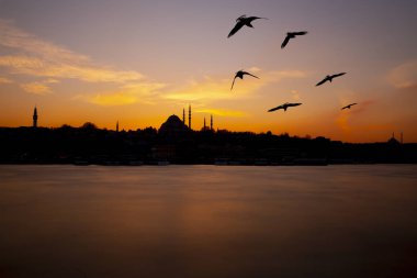 Yeni Cami (Yeni Cami). İstanbul, Türkiye
