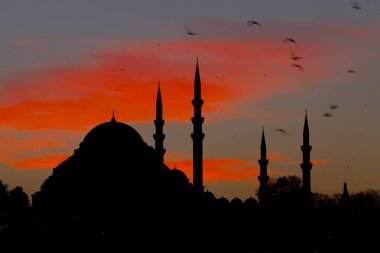 Yeni Cami (Yeni Cami). İstanbul, Türkiye