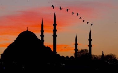 Yeni Cami (Yeni Cami). İstanbul, Türkiye