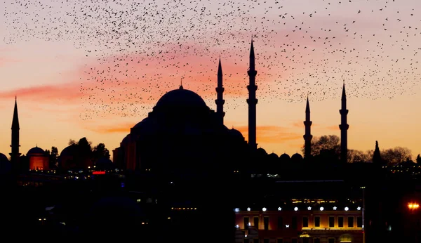 Nouvelle Mosquée Yeni Cami Istanbul Turquie — Photo