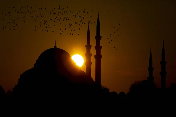 Нова Мечеть Yeni Cami Стамбул Туреччина — стокове фото