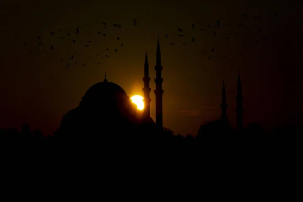 Mecset Yeni Cami Isztambul Törökország — Stock Fotó