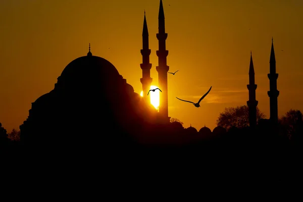 Nouvelle Mosquée Yeni Cami Istanbul Turquie — Photo