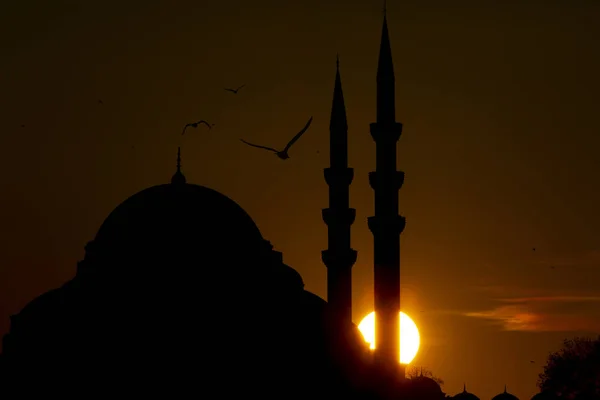 Neue Moschee Yeni Cami Istanbul Türkei — Stockfoto