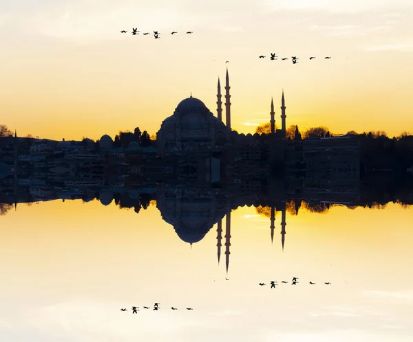 新清真寺 Yeni Cami 土耳其伊斯坦布尔 — 图库照片