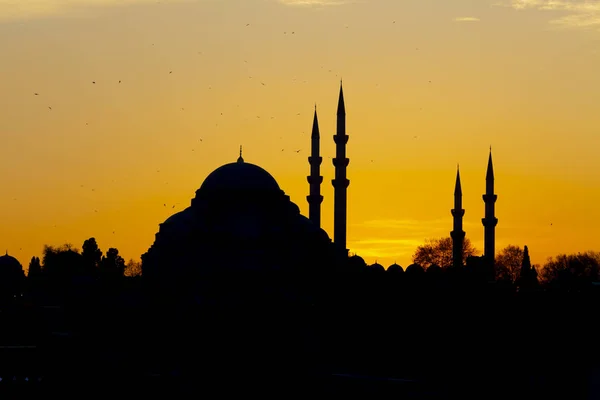 새로운 모스크 Yeni Cami 터키의 이스탄불 — 스톡 사진