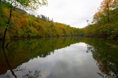 Yedigoller Park Bolu, Türkiye 'de sonbahar manzarası (yedi göl)
