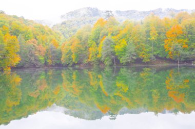 Yedigoller Park Bolu, Türkiye 'de sonbahar manzarası (yedi göl)