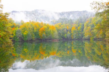 Yedigoller Park Bolu, Türkiye 'de sonbahar manzarası (yedi göl)