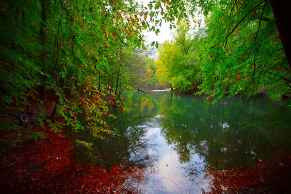 Yedigoller Park Bolu Türkiye Sonbahar Manzarası Yedi Göl — Stok fotoğraf