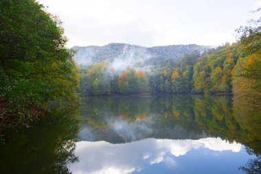 Yedigoller Park Bolu, Türkiye 'de sonbahar manzarası (yedi göl)