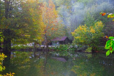 Yedigoller Park Bolu, Türkiye 'de sonbahar manzarası (yedi göl)