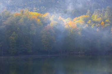 Yedigoller Park Bolu, Türkiye 'de sonbahar manzarası (yedi göl)