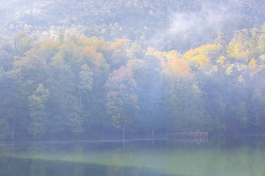 Yedigoller Park Bolu, Türkiye 'de sonbahar manzarası (yedi göl)
