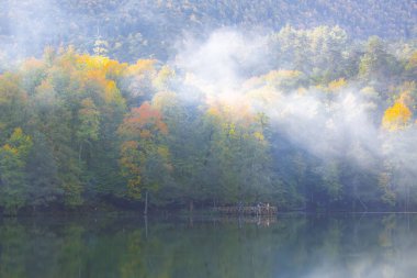 Yedigoller Park Bolu, Türkiye 'de sonbahar manzarası (yedi göl)