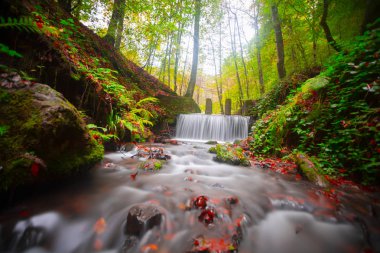 Yedigoller Park Bolu, Türkiye 'de sonbahar manzarası (yedi göl)