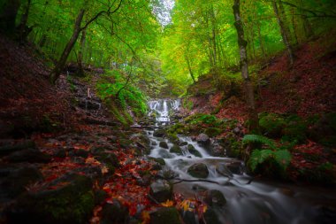 Yedigoller Park Bolu, Türkiye 'de sonbahar manzarası (yedi göl)