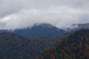 Yedigoller Park Bolu, Türkiye 'de sonbahar manzarası (yedi göl)