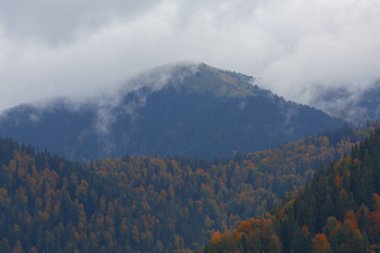 Yedigoller Park Bolu, Türkiye 'de sonbahar manzarası (yedi göl)