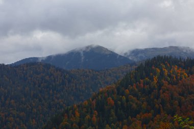 Yedigoller Park Bolu, Türkiye 'de sonbahar manzarası (yedi göl)