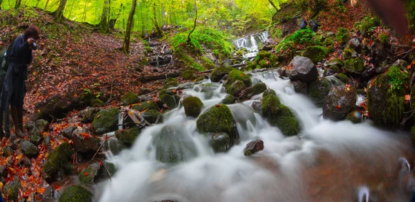 Осінній Пейзаж Сім Озер Yedigoller Park Bolu Turkey — стокове фото