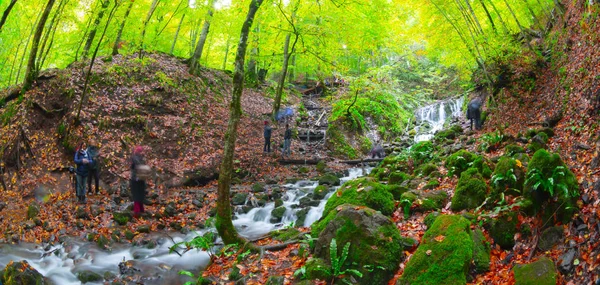 Herfstlandschap Zeven Meren Yedigoller Park Bolu Turkije — Stockfoto