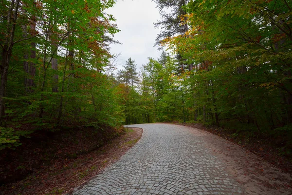 Paysage Automne Dans Sept Lacs Yedigoller Park Bolu Turquie — Photo