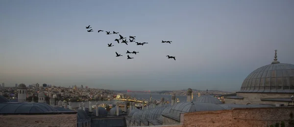 Istanbul Golden Horn Havet Och Staden Panorama — Stockfoto