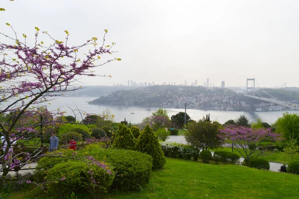 イスタンブールのユダの木 トルコ語 Erguvan オタゲテからのイスタンブール ボスポラスの美しい春の景色 ファティ スルタン メフメット橋 トルコのイスタンブール — ストック写真