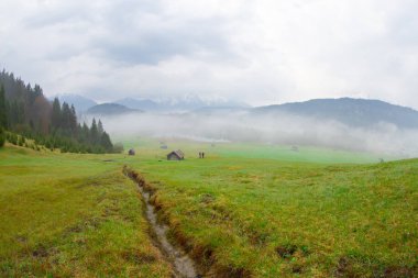 Bavyera alplerinin Karwendel Dağları'ndaki pastoral Geroldsee gölü.