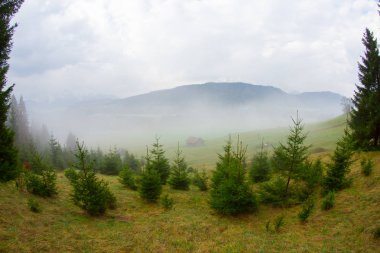 Bavyera alplerinin Karwendel Dağları'ndaki pastoral Geroldsee gölü.