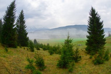 Bavyera alplerinin Karwendel Dağları'ndaki pastoral Geroldsee gölü.