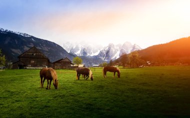 Geroldsee'de gün doğumu ışıkları