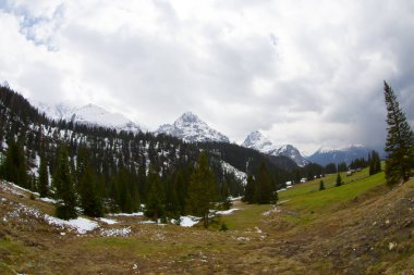 Güneşli kış gününde Ehrwald vadisinden Zugspitze Masif, ön planda kayak parkurları bakımlı. Kış dağ manzarası.