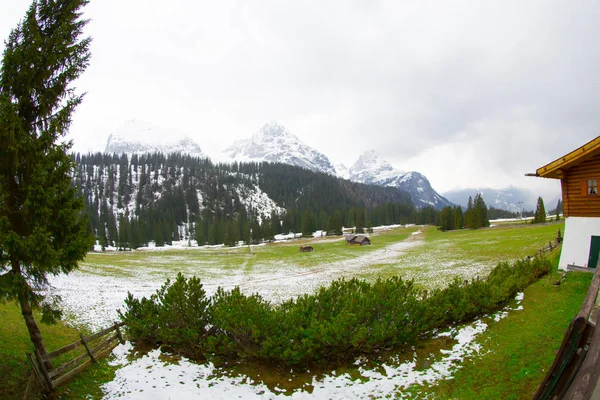 Maciço Zugspitze Vale Ehrwald Ensolarado Dia Inverno Preparou Pistas Esqui — Fotografia de Stock