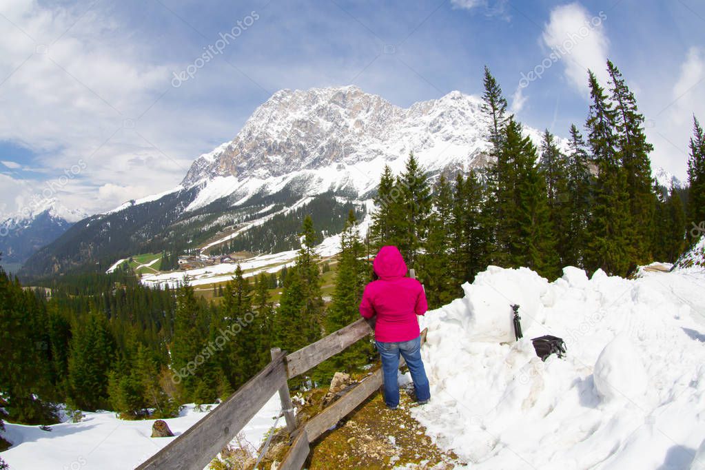 The Zugspitze Massif from the valley of Ehrwald in sunny winter day, groomed ski trails in foreground. Winter mountain landscape.