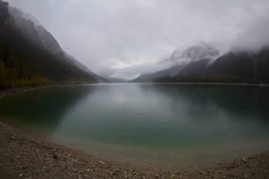 Avusturya Alpleri'ndeki Plansee Gölü'nün panoramik manzarası