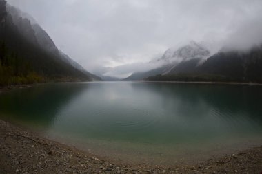 Avusturya Alpleri'ndeki Plansee Gölü'nün panoramik manzarası