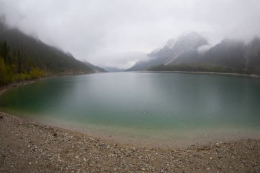 Avusturya Alpleri'ndeki Plansee Gölü'nün panoramik manzarası