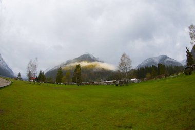Avusturya Alpleri'ndeki Plansee Gölü'nün panoramik manzarası