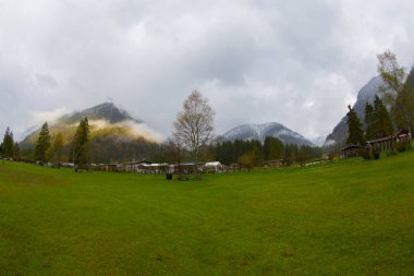 Avusturya Alpleri'ndeki Plansee Gölü'nün panoramik manzarası