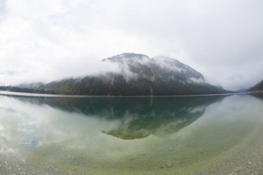 Avusturya Alpleri'ndeki Plansee Gölü'nün panoramik manzarası