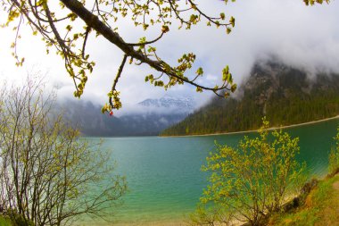 Avusturya Alpleri'ndeki Plansee Gölü'nün panoramik manzarası