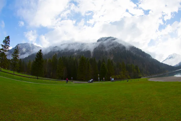 Avusturya Alpleri'ndeki Plansee Gölü'nün panoramik manzarası