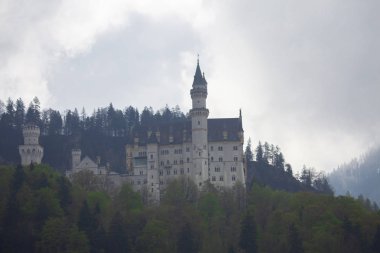 Neuschwanstein Kalesi ve Manzara / Almanya..