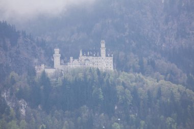 Neuschwanstein Kalesi ve Manzara / Almanya..