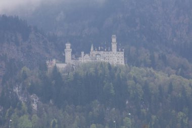 Neuschwanstein Kalesi ve Manzara / Almanya..