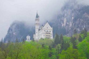 Neuschwanstein Kalesi ve Manzara / Almanya..